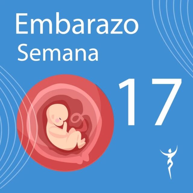 Semana 17 de embarazo
En esta semana tu bebé ya mide unos 13 cm y pesa sobre 113 gramos. Su cuerpo está cubierto por una sustancia protectora (vérnix), y ya sabe tragar líquido amniótico, que elimina por la orina. 
🤰 En la madre continúan los cambios; los pechos aumentan de tamaño, preparándose para la lactancia, con venas más visibles. El útero se expande hacia la parte superior del abdomen, y puede aumentar tu peso entre 2,5 y 4,5 kg, debido al crecimiento del bebé y a la preparación para la lactancia. 
🌐 Para saber más, lee nuestro artículo en el Blog (link en la Bio)
hashtag#ishtarginecologia #ginecologia #embarazo #bebe #lactancia #utero #prevencion #expertos #saludfemenina